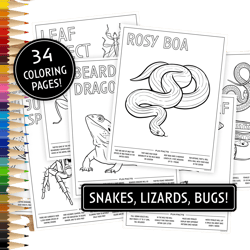 34 Printable Coloring Pages, Snakes & Lizards, Coloring Pages for Kids, Coloring Pages Printable, Digital Download, Animals, Reptiles