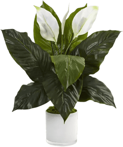 Nearly Natural Spathiphyllum Flowering Peace Lily Artificial  Plant in Glossy Glass Planter