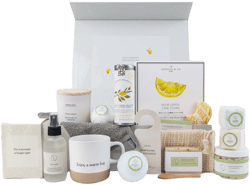 Lizush Get Well Gift Basket All Natural Care Package