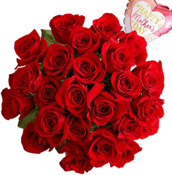 1-800-Flowers Send Flowers Same Day Flower Delivery Two Dozen Red Roses for Mother's Day