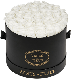 Venus ET Fleur Classic Large Eternity Roses