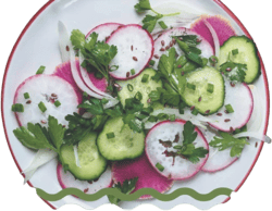 350 Special Vegetable Salad Recipes: A Highly Recommended Vegetable Salad Cookbook