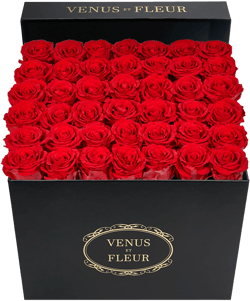 Venus ET Fleur Classic Large Eternity Roses