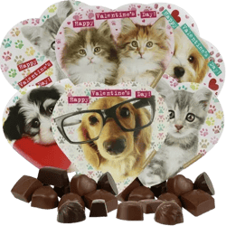eedzo Animal Lovers Valentines Chocolate Heart Boxes Bundle