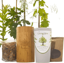 Cremation Ashes The Living Urn