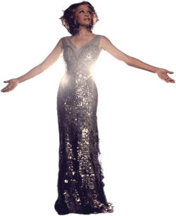 Whitney Houston - I Will Always Love You: The Best of [Vinyl]
