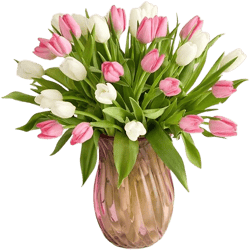 1-800-Flowers Send Flowers Same Day Flower Delivery Sweet Spring Tulip Bouquet