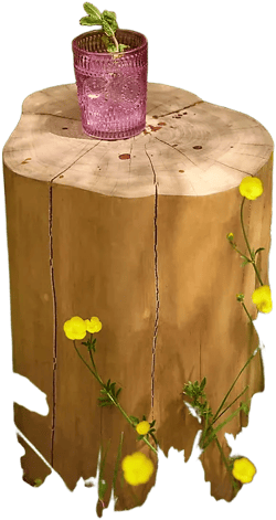 Teak Root Stool