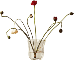 Large Glass Vase