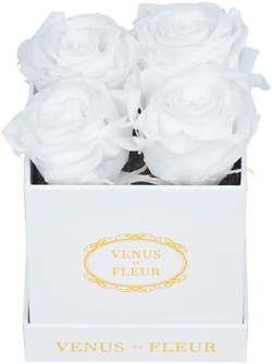 Venus ET Fleur Classic Le Petit Eternity Roses