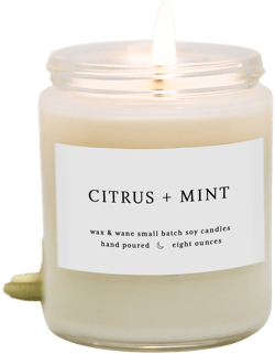 Modern Soy Candle Citrus + Mint 8 oz