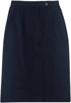 Dress Skirt