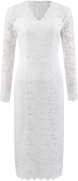 Women's Floral Lace V-Neck Long Sleeve Bodycon Dress