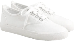 J. Crew Women's Harbor Canvas Sneaker