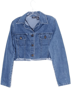 Vintage 90s Y2K Cropped Denim Jacket