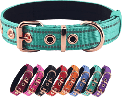 Neoprene Padded Dog Collar - Nylon, Heavy Duty With Metal Buckle, Adjustable Reflective for Small Medium Large Dogs (Large, Teal) Large (Pack of 1) Teal