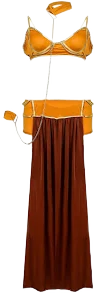 Women's Princess Leia Slave Bikini Costume