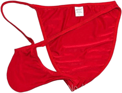 Men's Satin Bikini