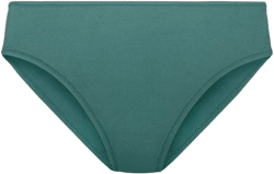 LIVELY High Waist Bikini Bottom