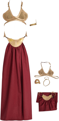 Princess Leia Slave Bikini Outfit