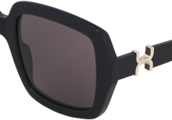 Chloé Women's Marcie Acetate Sunglasses