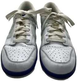 Nike Women's Dunk Low 2008 Varsity