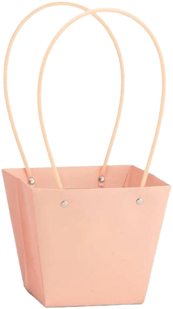 6" WATERPROOF PAPER TOTE