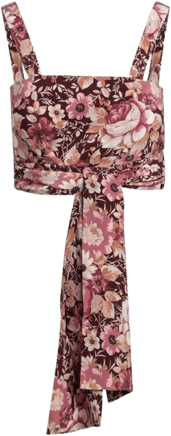 Chloé Women's Cropped Floral-Print Silk-crepe Top