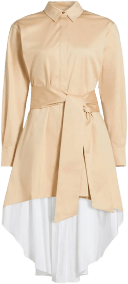 Toccin Women's Ariella Pleated Fly Away Shirtdress