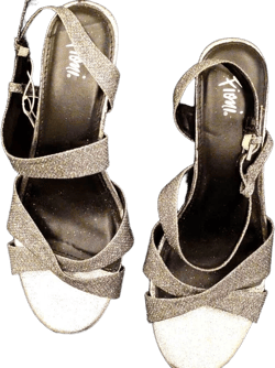 Fioni Ladies Evening Shoes