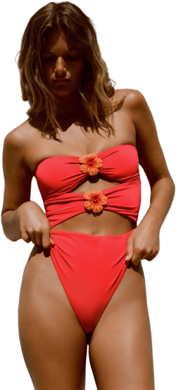 Zara Cut Out Floral Bandeau Swimsuit