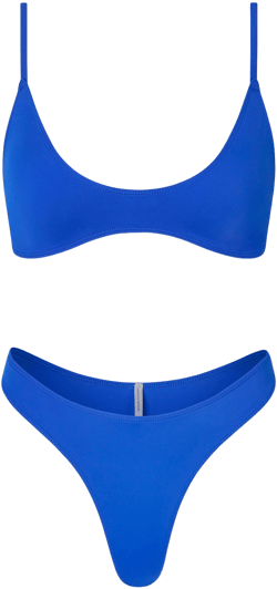 Gooseberry Intimates So Chic Bikini Top