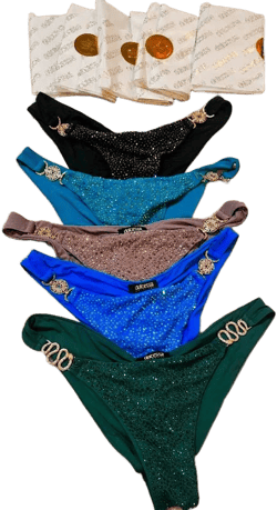 Dolcessa Crystal Embellished Swimwear Bottoms