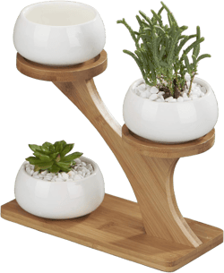 Planter Pots Indoor, 3 Pack 3 Inch White Ceramic Decorative Small Round Succulent Cactus Flower Plant Pot with Tree Tier Bamboo Stand for Garden Kitchen Home Office Desk Decorations