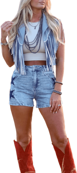Saige Denim The Star Denim Shorts