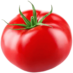 Vine Ripe Tomato