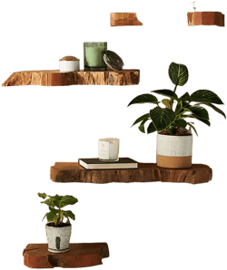 Takara Live-Edge Shelf