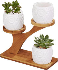Planter Pots Indoor, 3 Pack 3 Inch White Ceramic Decorative Small Owl Succulent Cactus Flower Plant Pot with Tree Tier Bamboo Stand for Garden Kitchen Home Office Desk Decorations