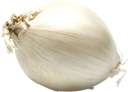 Organic White Onion, 1 Each