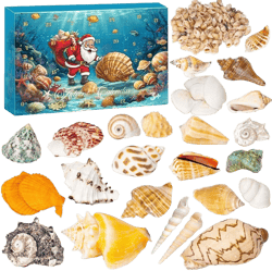 Advent Calendar 2024, Seashells Advent Calendar for Kids Teens Adults, 24 Days Christmas Countdown Calendar with Sea Shells for Learning Collection DIY Decoration, Xmas Gifts for Boys Girls Men Women
