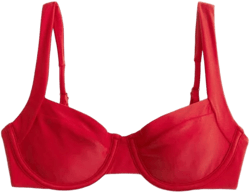 Abercrombie & Fitch Women's Wide Strap Underwire Bikini Top