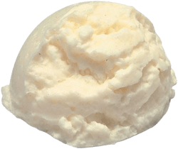 Nasco Vanilla Ice Cream