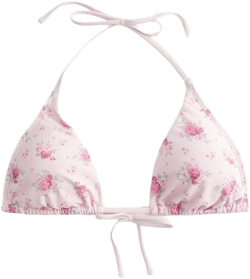 Hollister Women's Triangle Bikini Top