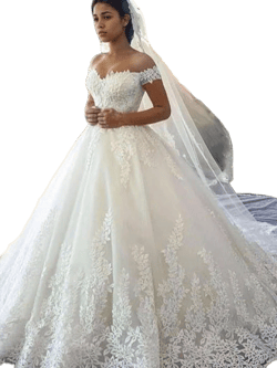 Off-The-Shoulder Tulle Ball Gown Wedding Dress