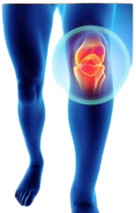 Knee Strength and Rehabilitation Program | Althetic Injury Prevention Program | Stretching Workout Program | Mobility Exercise Program