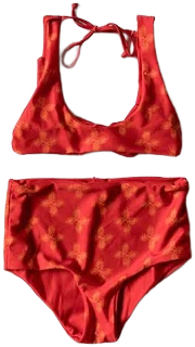 Women's High Waisted Bandana Bikini Separates