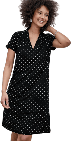 J.Jill Women's Wearever Pleated A-Line Dress