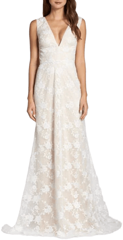 Tadashi Shoji Windsor Sleeveless V-Neck Lace Gown - White - Gowns