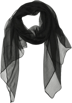 Wrapables Silk Long Scarf