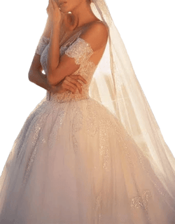 Disney Lace Wedding Dress